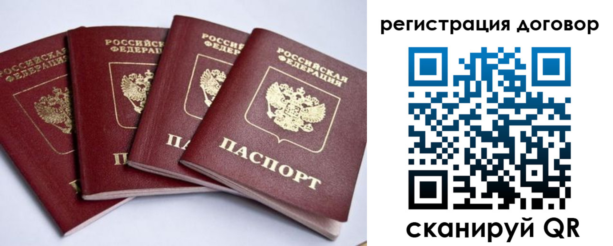 прописка поиск в Шелехове
